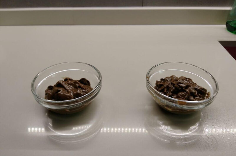 Mousse de chocolate vegana V1